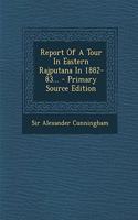 Report of a Tour in Eastern Rajputana in 1882-83... - Primary Source Edition