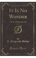 It Is No Wonder, Vol. 1 of 3: A Story of Bohemian Life (Classic Reprint)