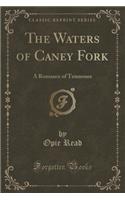 The Waters of Caney Fork: A Romance of Tennessee (Classic Reprint)