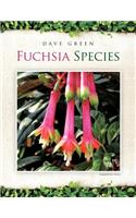 Fuchsia Species