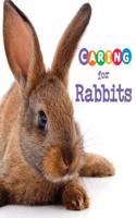 Caring for Rabbits