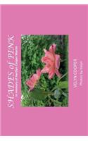Shades of Pink