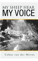 My Sheep Hear My Voice