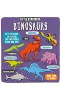 Little Explorers: Dinosaurs