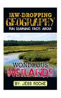 Jaw-Dropping Geography: Fun Learning Facts about Wondrous Wetlands: Illustrated Fun Learning for Kids