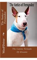 The Antics of Fernandeze: The Canine Tornado of Alicante(English)