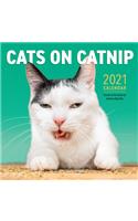 Cats on Catnip Wall Calendar 2021