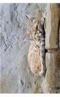 An Alert Sand Cat (Felis margarita) Sitting on a Rock Animal Journal: 150 Page Lined Notebook/Diary