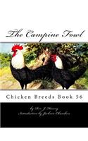 Campine Fowl: Chicken Breeds Book 56