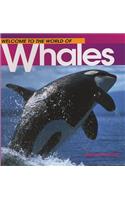 Welcome to the World of Whales