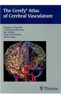 Cerefy Atlas of Cerebral Vasculature