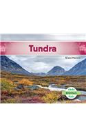 Tundra (Tundra Biome) (Spanish Version)