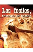 Los Fósiles, Hallazgos del Pasado