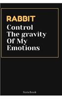 RABBIT Control The gravity Of My Emotions