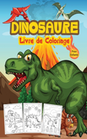 Dinosaure Livre de Coloriage pour Enfants: Grand livre d'activités sur les dinosaures pour les garçons et les enfants. Livres de dinosaures parfaits pour les adolescents et les jeunes enfants