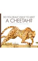 Do You Really Want to Meet a Cheetah?