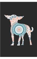 Chihuahua Flower Pattern