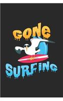 Gone surfing
