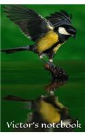 Victor's notebook, journal . size 6x9, 100 pages: Perfect gift idea