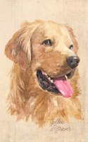 Golden Retriever Dog Portrait Notebook: Blank Dot Grid Journal for Dog Lovers, Dog Mom, Dog Dad and Pet Owners - 6x9 - 5MM Dot Grid Pages(34 Watercolor Dog Journals)