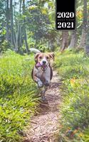 Beagle Dog Calendar Week Planner 2020 / 2021 - Walk in Paradise: Pup Puppy Doggie Pet Owner Weekly Bullet Journal Notebook Diary in 6" x 9" Inch Pocket Size