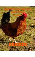 Chicken: Amazing Pictures and Facts about Chicken