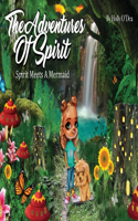 Adventures of Spirit
