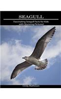 Seagull: Fascinating Seagull Facts for Kids with Stunning Pictures!