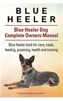Blue Heeler. Blue Heeler Dog Complete Owners Manual. Blue Heeler book for care, costs, feeding, grooming, health and training.