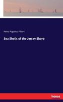 Sea Shells of the Jersey Shore
