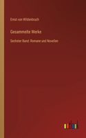 Gesammelte Werke: Sechster Band: Romane und Novellen