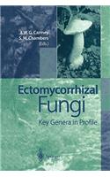 Ectomycorrhizal Fungi