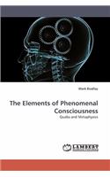 Elements of Phenomenal Consciousness