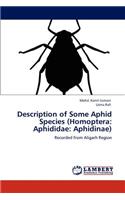 Description of Some Aphid Species (Homoptera