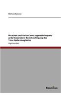 Ursachen und Verlauf von Jugenddelinquenz unter besonderer Berücksichtigung des Täter-Opfer-Ausgleichs