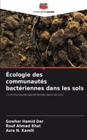 Écologie des communautés bactériennes dans les sols