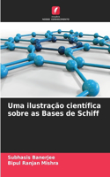 Uma ilustração científica sobre as Bases de Schiff