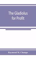 gladiolus for profit