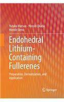 Endohedral Lithium-Containing Fullerenes