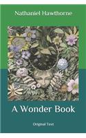 A Wonder Book