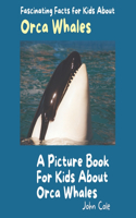 Picture Book for Kids About Orca Whales