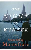 One Night in Winter