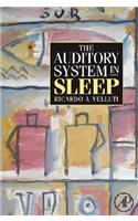 Auditory System in Sleep