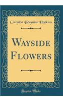 Wayside Flowers (Classic Reprint)