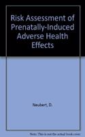 Risk Assessment of Prenatally-Induced Adverse Health Effects