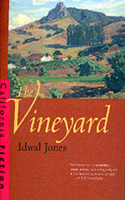 Vineyard