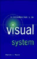 An Introduction to the Visual System