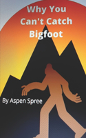 Why You Can't Catch Bigfoot