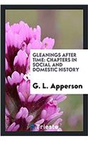 Gleanings after time: chapters in social and domestic history