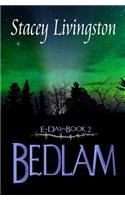 E-Day Book 2